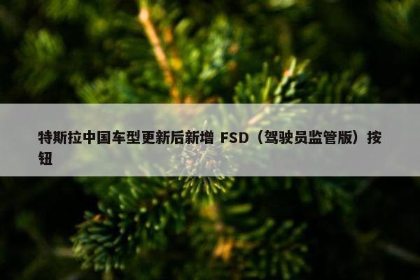 特斯拉中国车型更新后新增 FSD（驾驶员监管版）按钮