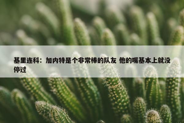 基里连科：加内特是个非常棒的队友 他的嘴基本上就没停过