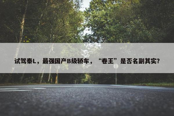 试驾秦L，最强国产B级轿车，“卷王”是否名副其实？