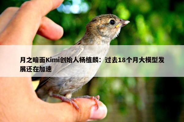 月之暗面Kimi创始人杨植麟：过去18个月大模型发展还在加速