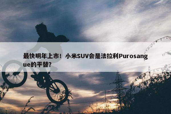 最快明年上市！小米SUV会是法拉利Purosangue的平替？