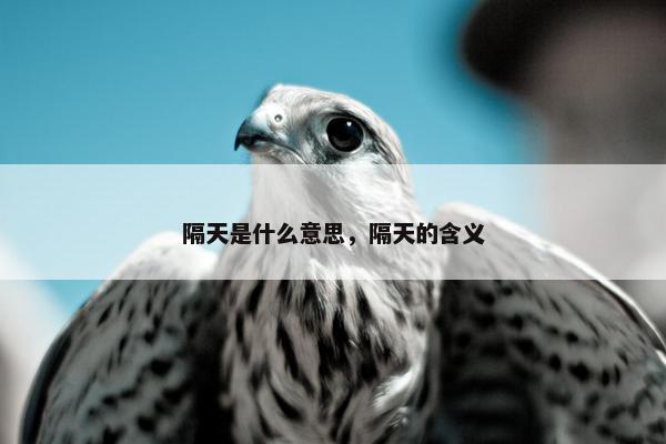 隔天是什么意思，隔天的含义