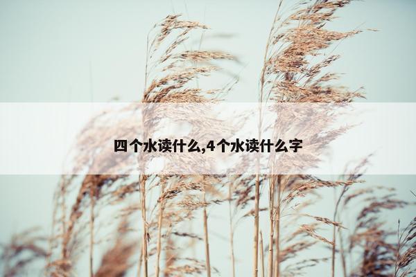 四个水读什么,4个水读什么字