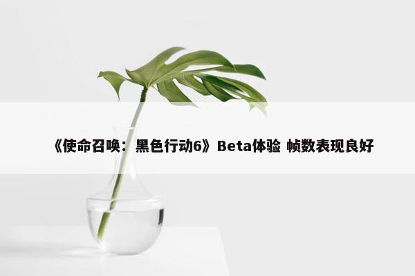 《使命召唤：黑色行动6》Beta体验 帧数表现良好