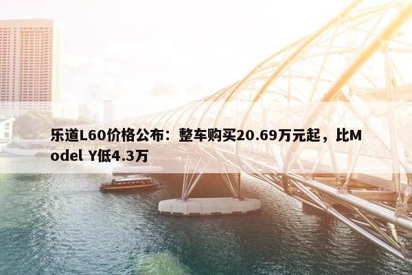 乐道L60价格公布：整车购买20.69万元起，比Model Y低4.3万