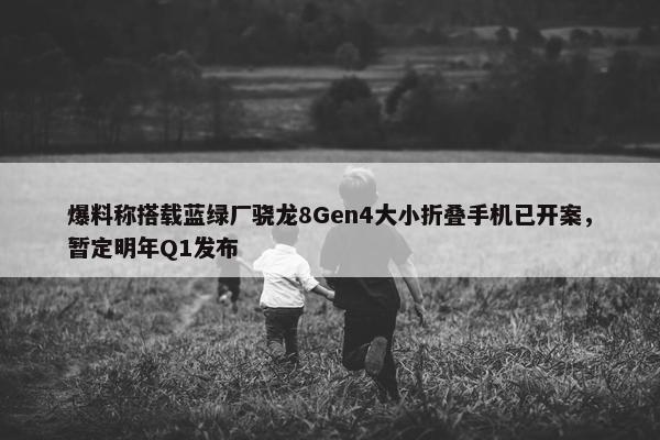 爆料称搭载蓝绿厂骁龙8Gen4大小折叠手机已开案，暂定明年Q1发布