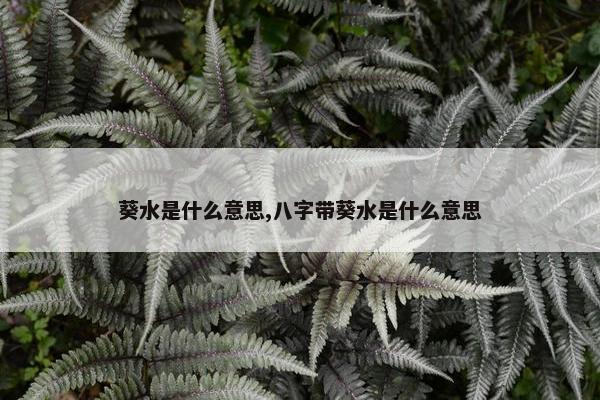 葵水是什么意思,八字带葵水是什么意思