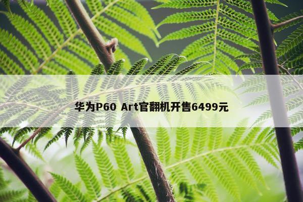 华为P60 Art官翻机开售6499元