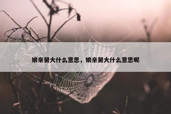 娘亲舅大什么意思，娘亲舅大什么意思呢