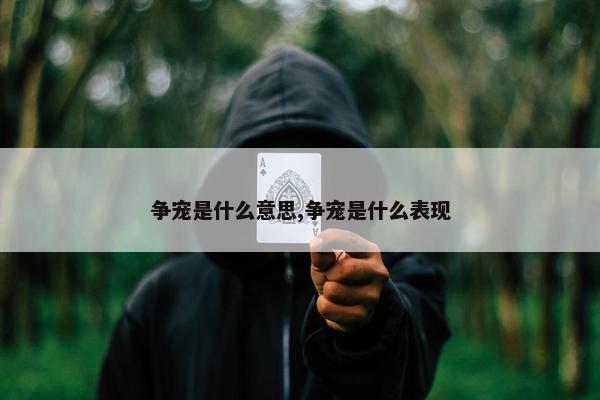 争宠是什么意思,争宠是什么表现