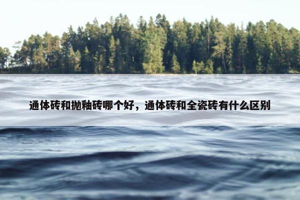 通体砖和抛釉砖哪个好，通体砖和全瓷砖有什么区别