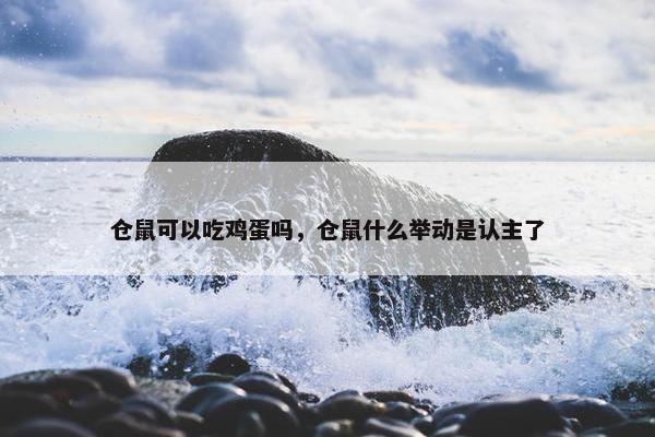 仓鼠可以吃鸡蛋吗，仓鼠什么举动是认主了