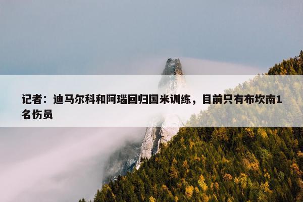 记者：迪马尔科和阿瑙回归国米训练，目前只有布坎南1名伤员