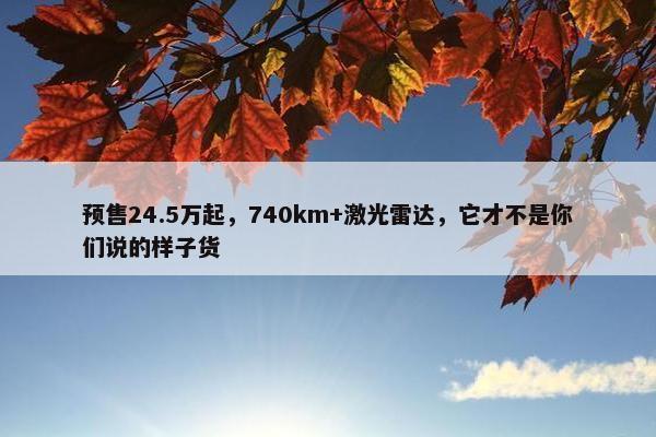 预售24.5万起，740km+激光雷达，它才不是你们说的样子货