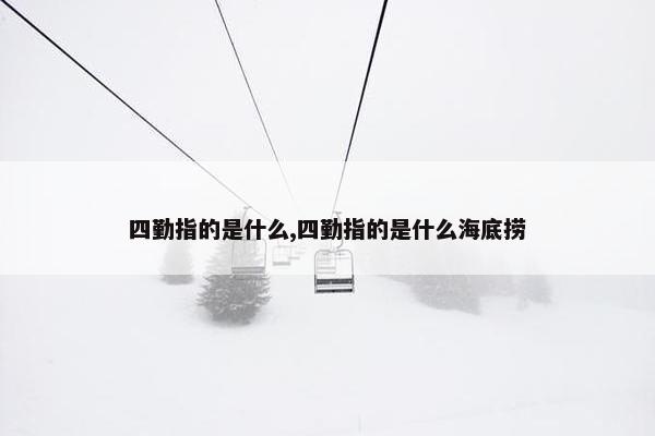 四勤指的是什么,四勤指的是什么海底捞