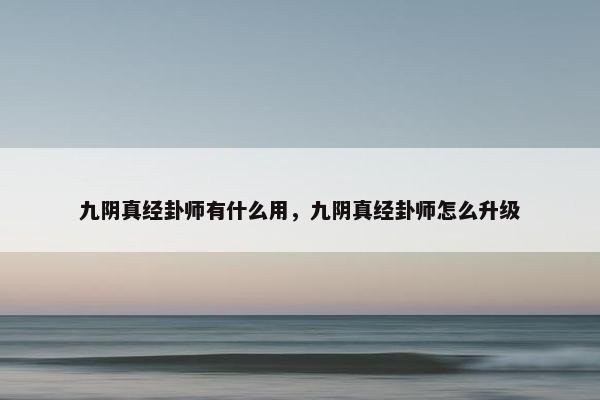 九阴真经卦师有什么用，九阴真经卦师怎么升级