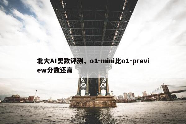 北大AI奥数评测，o1-mini比o1-preview分数还高