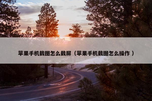 苹果手机截图怎么截屏（苹果手机截图怎么操作 ）