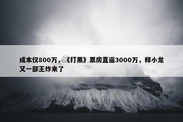 成本仅800万，《打黑》票房直逼3000万，释小龙又一部王炸来了