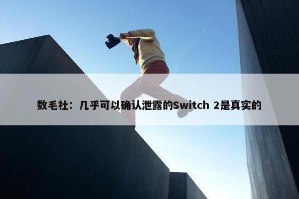 数毛社：几乎可以确认泄露的Switch 2是真实的