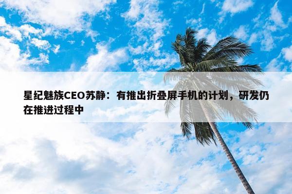 星纪魅族CEO苏静：有推出折叠屏手机的计划，研发仍在推进过程中