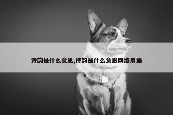 诗韵是什么意思,诗韵是什么意思网络用语