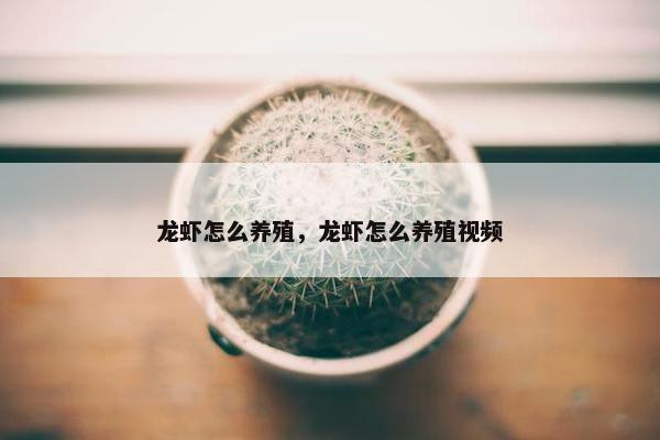 龙虾怎么养殖，龙虾怎么养殖视频