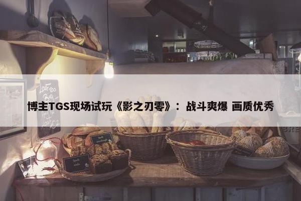 博主TGS现场试玩《影之刃零》：战斗爽爆 画质优秀