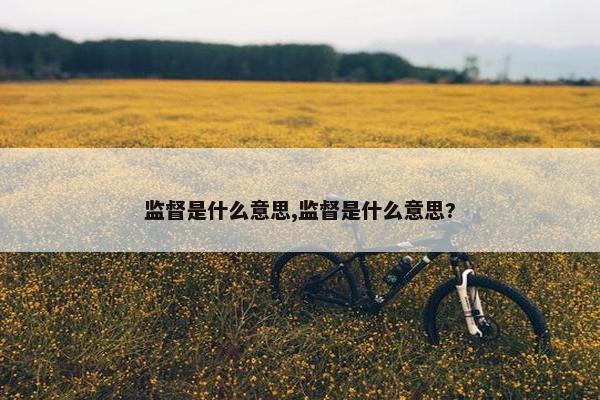 监督是什么意思,监督是什么意思?