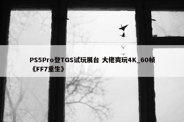 PS5Pro登TGS试玩展台 大佬爽玩4K_60帧《FF7重生》