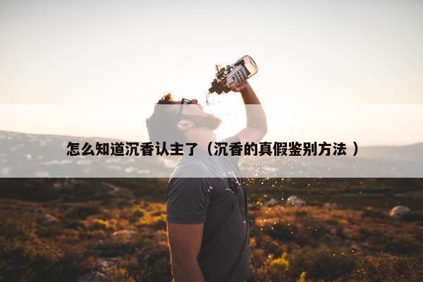 怎么知道沉香认主了（沉香的真假鉴别方法 ）