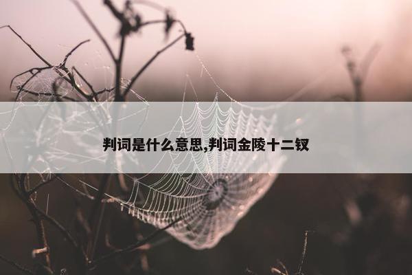 判词是什么意思,判词金陵十二钗