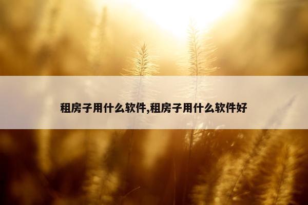 租房子用什么软件,租房子用什么软件好