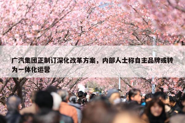 广汽集团正制订深化改革方案，内部人士称自主品牌或转为一体化运营