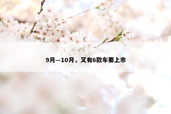 9月—10月，又有6款车要上市