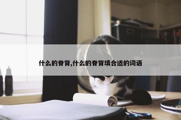 什么的脊背,什么的脊背填合适的词语