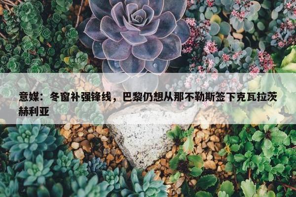 意媒：冬窗补强锋线，巴黎仍想从那不勒斯签下克瓦拉茨赫利亚