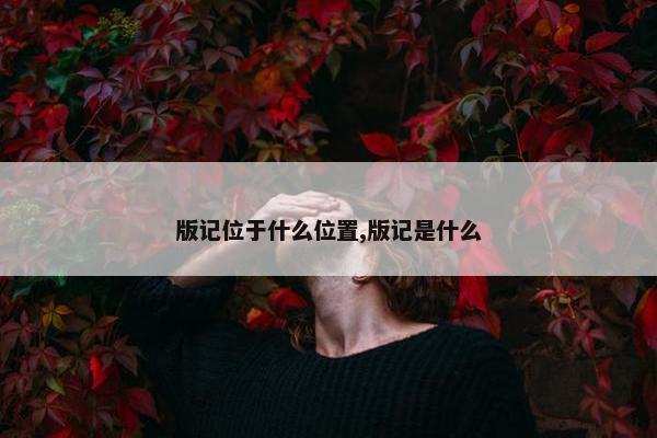 版记位于什么位置,版记是什么