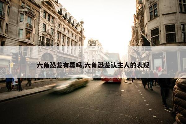 六角恐龙有毒吗,六角恐龙认主人的表现