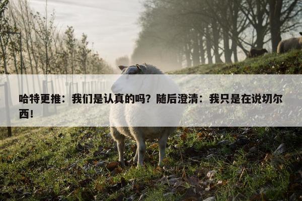 哈特更推：我们是认真的吗？随后澄清：我只是在说切尔西！