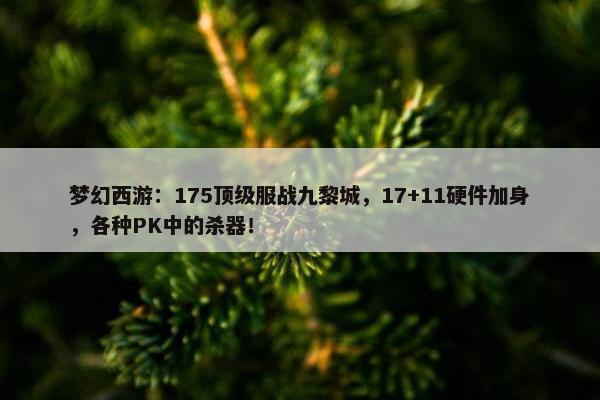 梦幻西游：175顶级服战九黎城，17+11硬件加身，各种PK中的杀器！