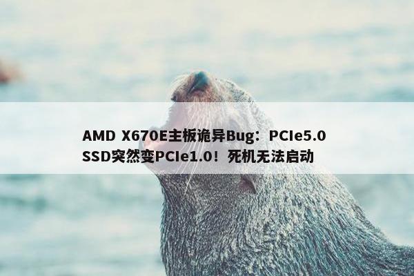 AMD X670E主板诡异Bug：PCIe5.0 SSD突然变PCIe1.0！死机无法启动