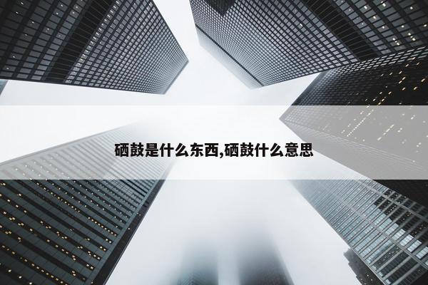 硒鼓是什么东西,硒鼓什么意思