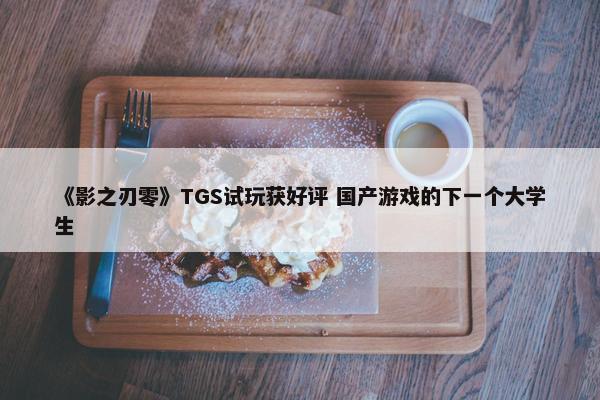 《影之刃零》TGS试玩获好评 国产游戏的下一个大学生