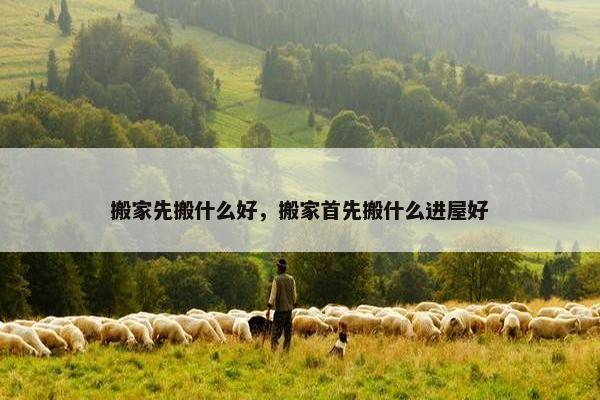 搬家先搬什么好，搬家首先搬什么进屋好