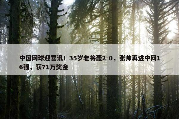 中国网球迎喜讯！35岁老将轰2-0，张帅再进中网16强，获71万奖金