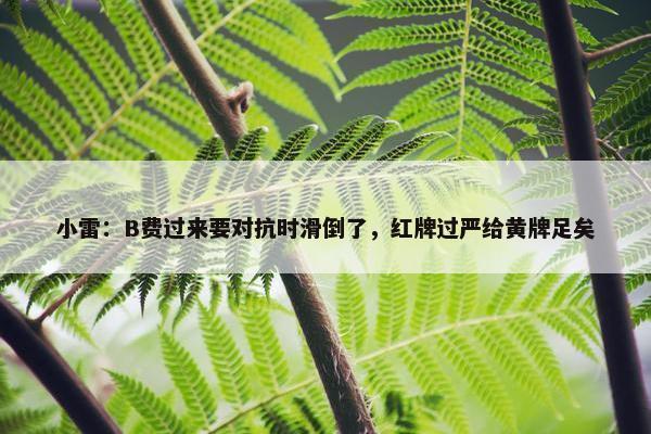 小雷：B费过来要对抗时滑倒了，红牌过严给黄牌足矣