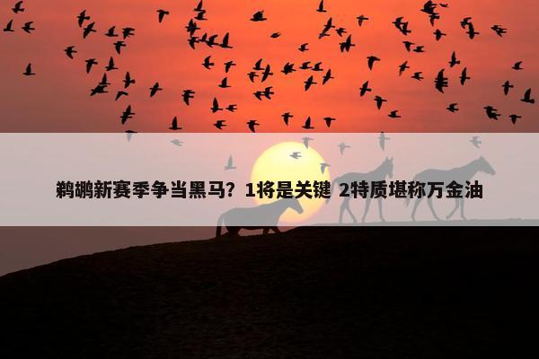 鹈鹕新赛季争当黑马？1将是关键 2特质堪称万金油