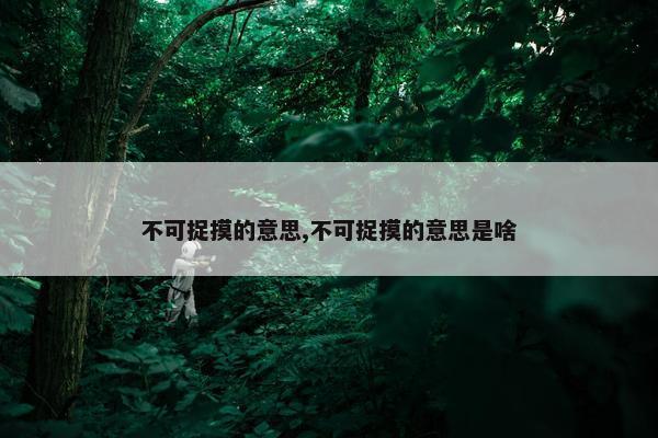 不可捉摸的意思,不可捉摸的意思是啥