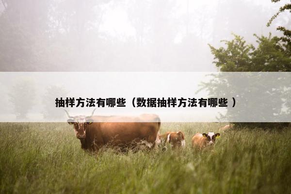 抽样方法有哪些（数据抽样方法有哪些 ）